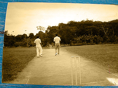 Cricket pitch etched out of the jungle